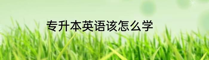 专升本英语该怎么学