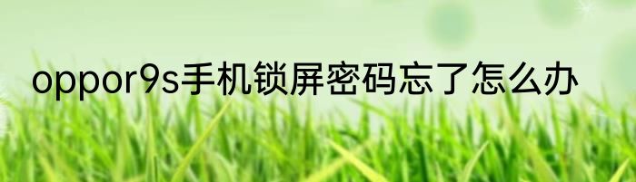 oppor9s手机锁屏密码忘了怎么办