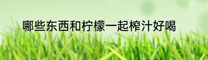 哪些东西和柠檬一起榨汁好喝