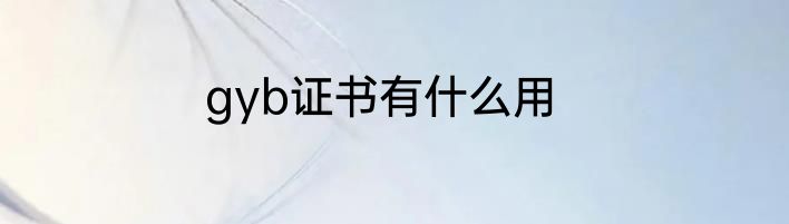 gyb证书有什么用