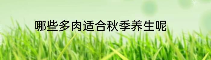 哪些多肉适合秋季养生呢