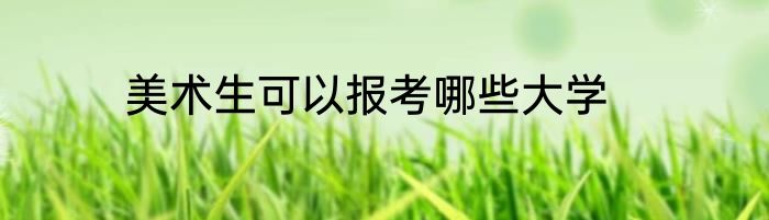 美术生可以报考哪些大学