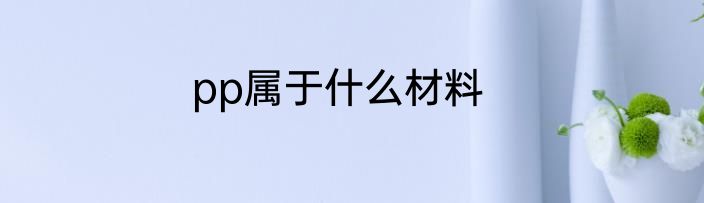 pp属于什么材料