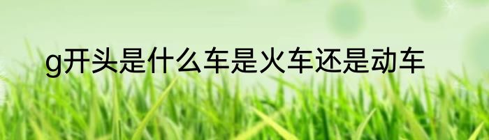 g开头是什么车是火车还是动车