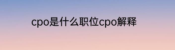 cpo是什么职位cpo解释