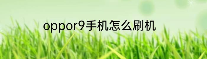oppor9手机怎么刷机