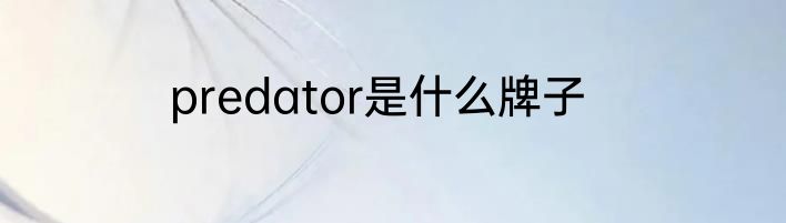 predator是什么牌子