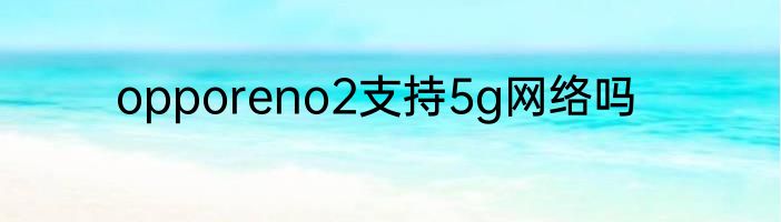 opporeno2支持5g网络吗
