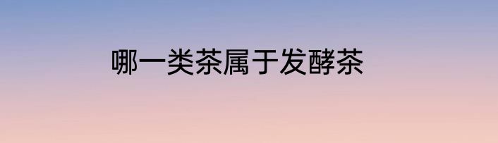 哪一类茶属于发酵茶