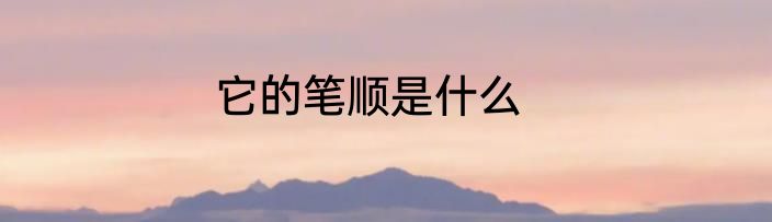 它的笔顺是什么