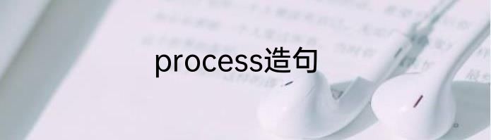 process造句