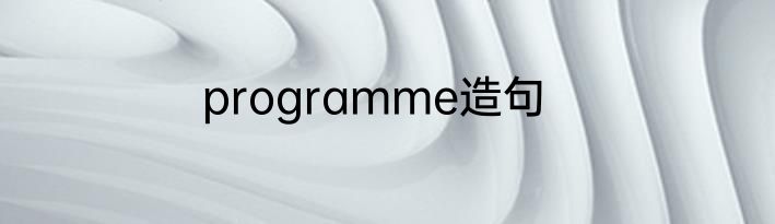 programme造句
