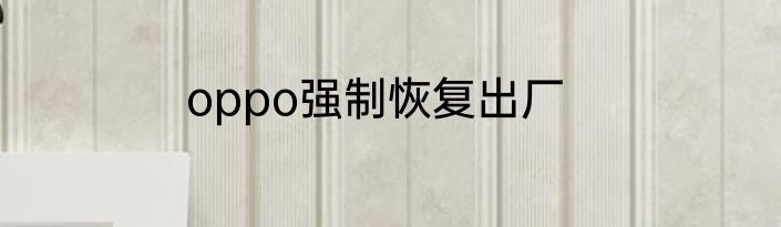 oppo强制恢复出厂