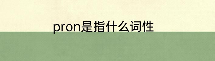 pron是指什么词性