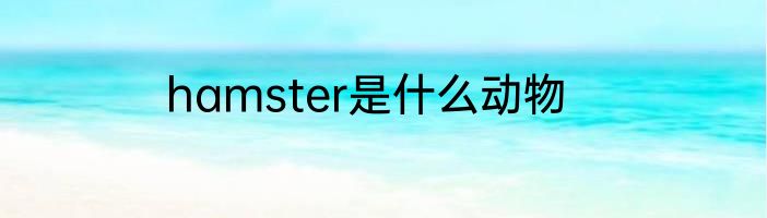 hamster是什么动物