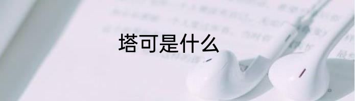 塔可是什么