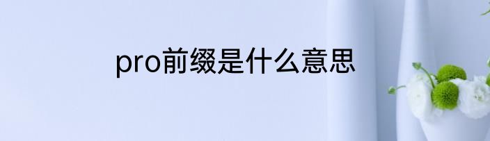 pro前缀是什么意思
