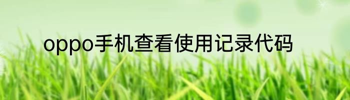 oppo手机查看使用记录代码