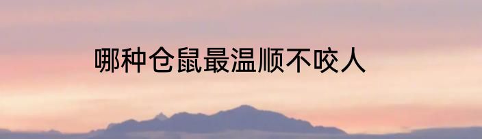 哪种仓鼠最温顺不咬人