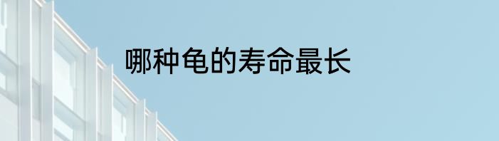 哪种龟的寿命最长