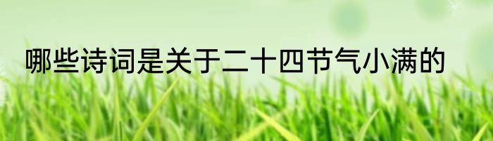 哪些诗词是关于二十四节气小满的
