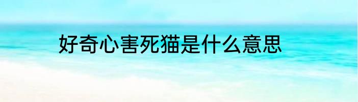好奇心害死猫是什么意思