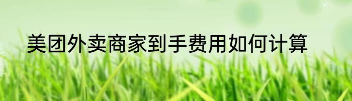 美团外卖商家到手费用如何计算