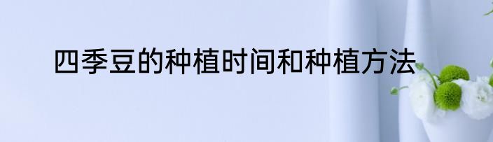四季豆的种植时间和种植方法