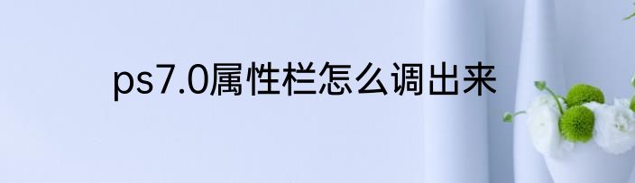 ps7.0属性栏怎么调出来