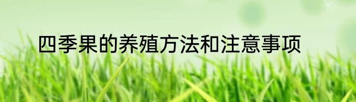 四季果的养殖方法和注意事项