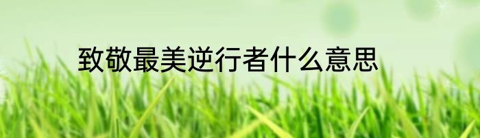 致敬最美逆行者什么意思