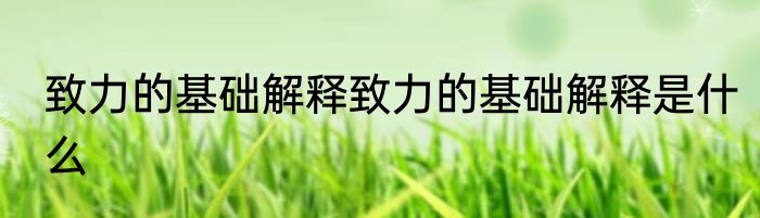 致力的基础解释致力的基础解释是什么