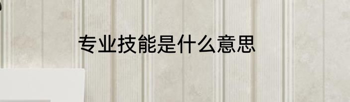 专业技能是什么意思