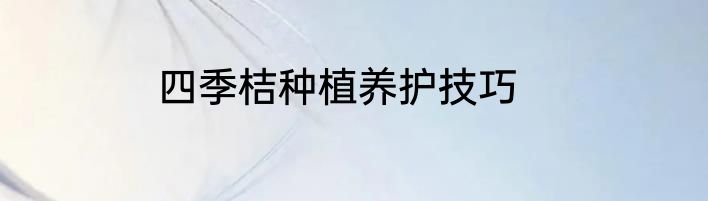 四季桔种植养护技巧
