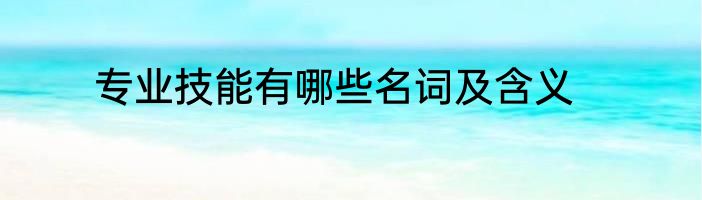 专业技能有哪些名词及含义