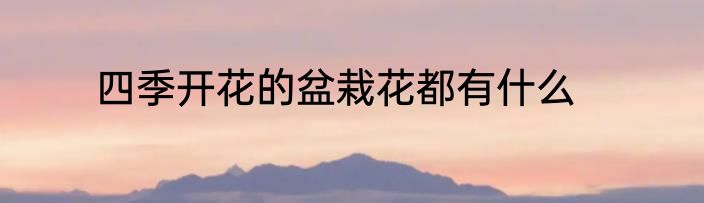 四季开花的盆栽花都有什么