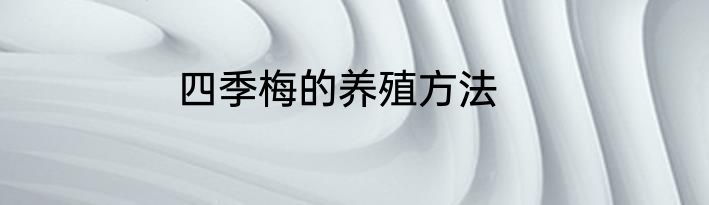 四季梅的养殖方法