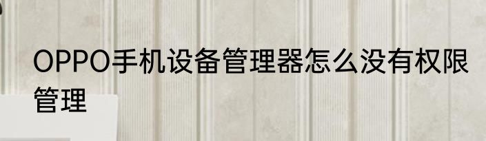 OPPO手机设备管理器怎么没有权限管理