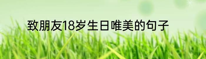 致朋友18岁生日唯美的句子