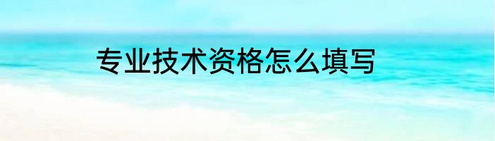 专业技术资格怎么填写