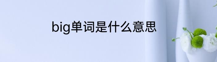 big单词是什么意思