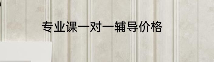 专业课一对一辅导价格