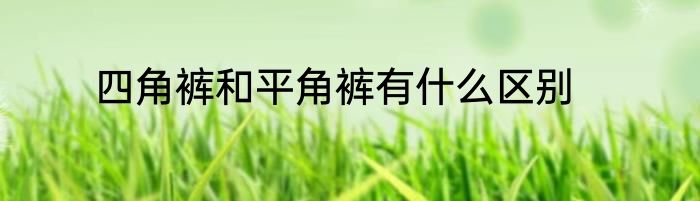 四角裤和平角裤有什么区别