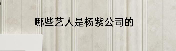 哪些艺人是杨紫公司的