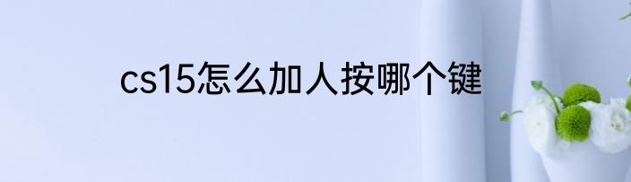 cs15怎么加人按哪个键