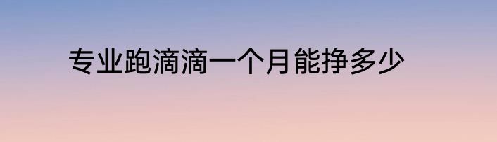 专业跑滴滴一个月能挣多少