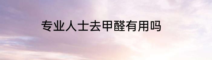 专业人士去甲醛有用吗