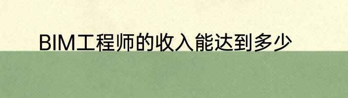 BIM工程师的收入能达到多少