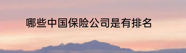 哪些中国保险公司是有排名