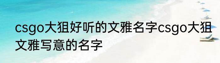 csgo大狙好听的文雅名字csgo大狙文雅写意的名字